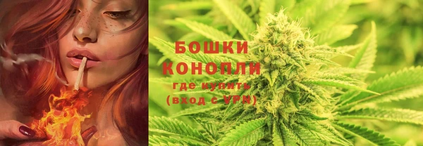 мет Майский