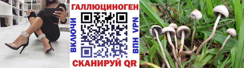 Галлюциногенные грибы мицелий  Усть-Катав 